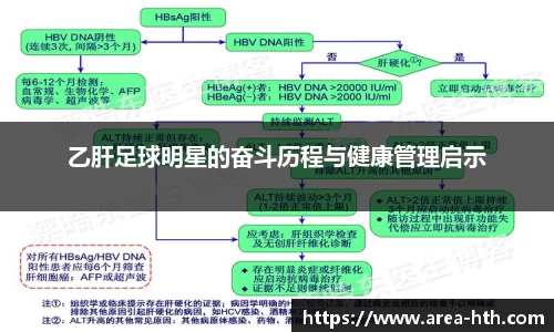 乙肝足球明星的奋斗历程与健康管理启示